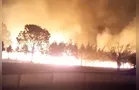Bombeiros combatem incêndio em vegetação ao lado do aeroporto de PG