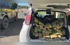 PRF apreende 152 quilos de maconha em rodovia da região