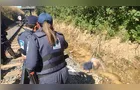 Cadáver é encontrado em linha do trem no Boa Vista, em Ponta Grossa