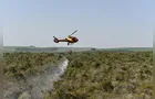 IAT promove restauração ambiental do Parque do Cerrado em Jaguariaíva