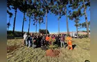 Prefeitura realiza plantio de 50 mudas no Dia Nacional da Araucária