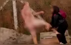 Professora é agredida por homem pelado no Paraná; ‘desesperador’