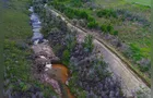 IAT e Bombeiros promovem ação para recuperar vegetação nativa em Jaguariaíva