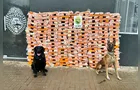 Faro apurado: canis da PMPR causam prejuízo de R$ 900 milhões ao crime desde 2023