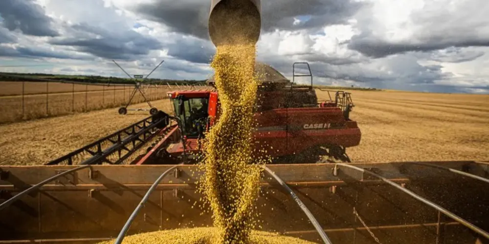 O volume obtido na colheita de grãos na safra 2024/2025 representa uma alta de 16,3% sobre a temporada anterior