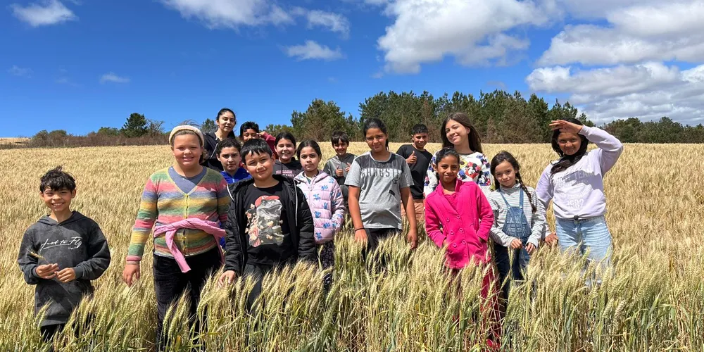 Ação 'in loco' permitiu que educandos compreendessem variadas etapas do campo