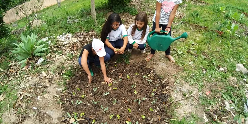 Estudantes foram verdadeiros protagonistas da proposta