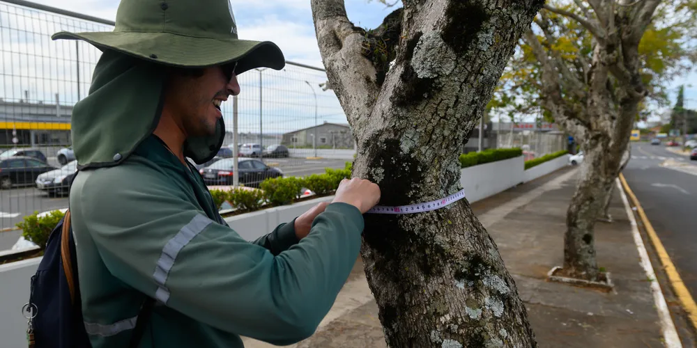 Equipes trabalham na Avenida Monteiro Lobato, analisando espécies de árvore para compor o plano de aborização urbana do município