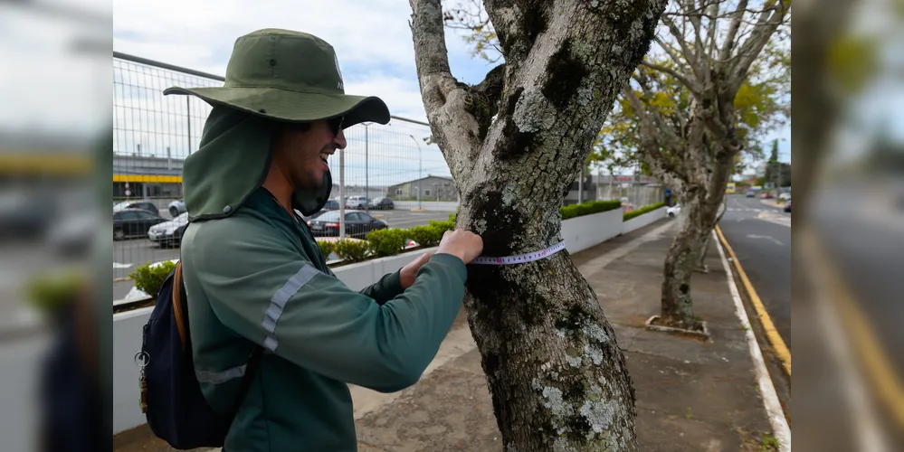 Equipes trabalham na Avenida Monteiro Lobato, analisando espécies de árvore para compor o plano de aborização urbana do município