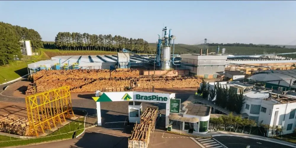 Empresas do setor em Jaguariaíva foram fortemente afetadas pelo tarifaço em 2025