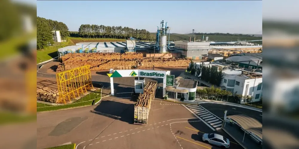 Empresas do setor em Jaguariaíva foram fortemente afetadas pelo tarifaço em 2025