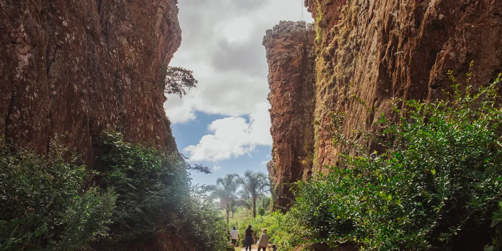 O Parque Estadual de Vila Velha é palco de encontros com animais silvestres