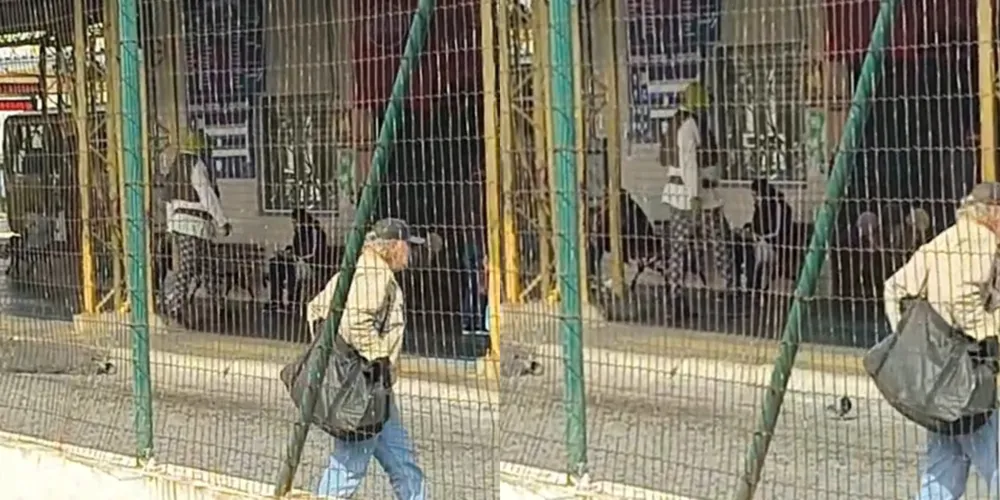 Shrek foi flagrado utilizando o transporte coletivo neste domingo (7)