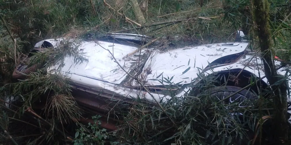 Motorista sofreu ferimentos após colidir com vegetação do local na queda.