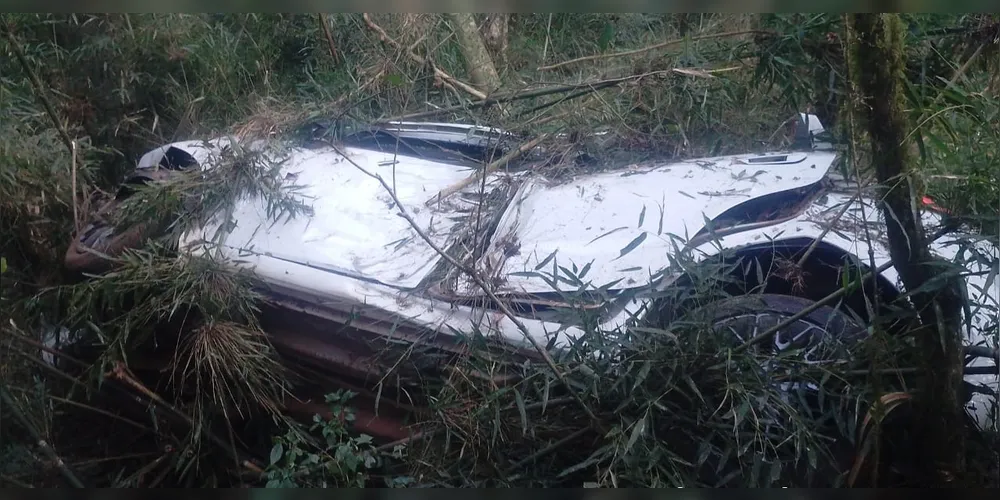 Motorista sofreu ferimentos após colidir com vegetação do local na queda.