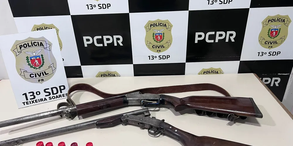 Em decorrência desse fato, foi expedido o mandado de busca domiciliar a fim de apreender a arma utilizada