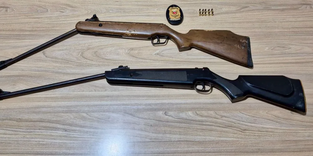Material foi apreendido pela Polícia Civil