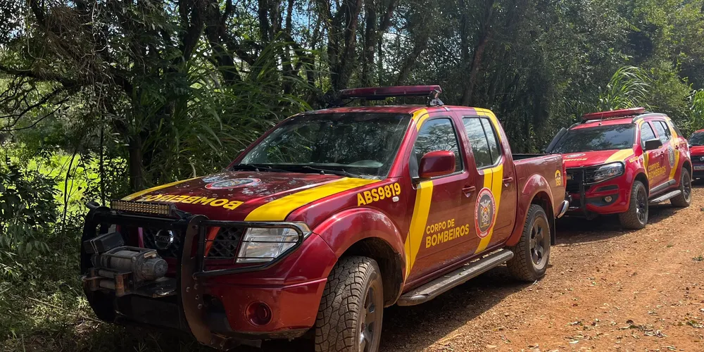 Equipes do Corpo de Bombeiros e do Samu realizarão buscas no local
