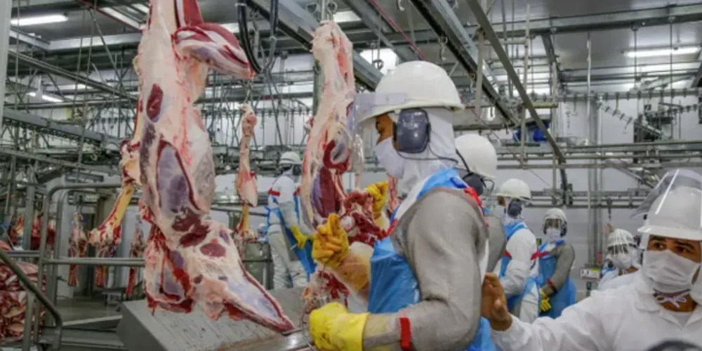 Medida representa aumento de 80% no número de frigoríficos habilitados.