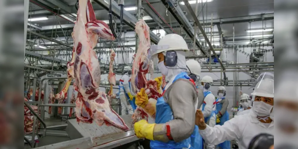 Medida representa aumento de 80% no número de frigoríficos habilitados.