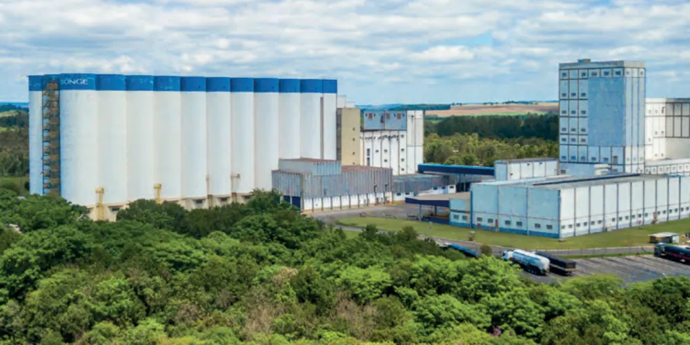 Ampliação da área de separação de casca de sementes está licenciada pelo IAT