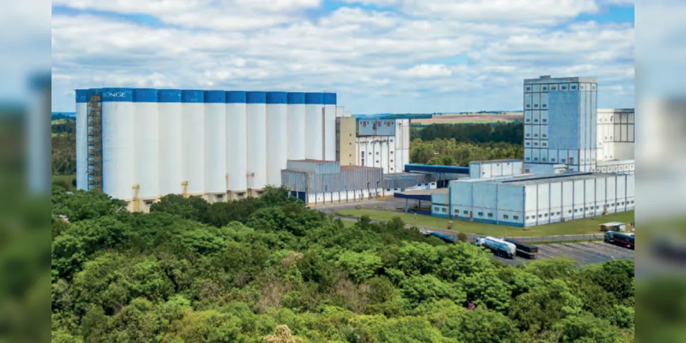 Ampliação da área de separação de casca de sementes está licenciada pelo IAT