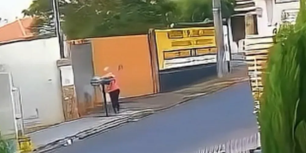 Os cachorros tinham somente dias de vida quando foram jogados em lixeira na rua.