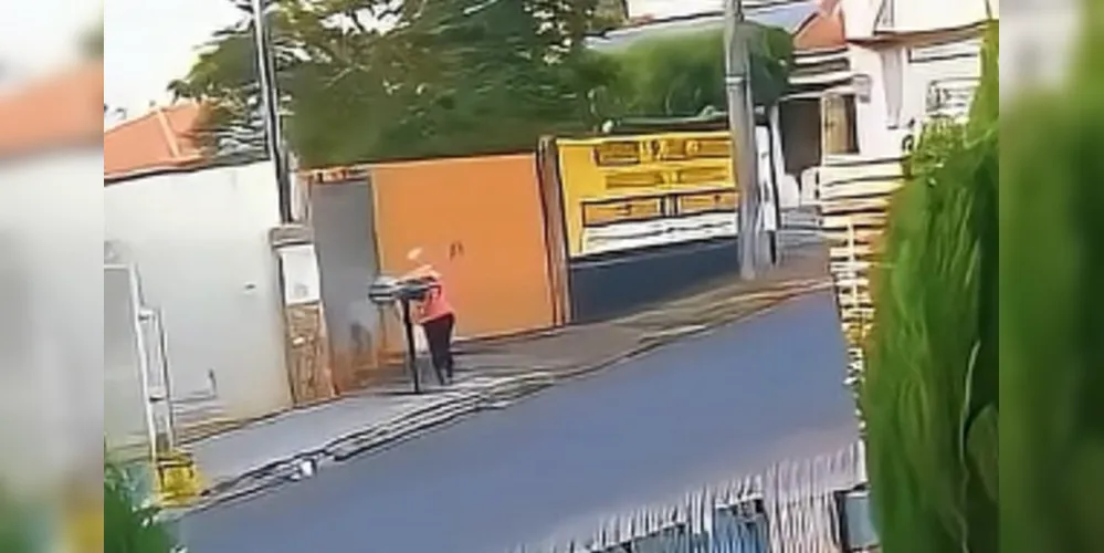 Os cachorros tinham somente dias de vida quando foram jogados em lixeira na rua.