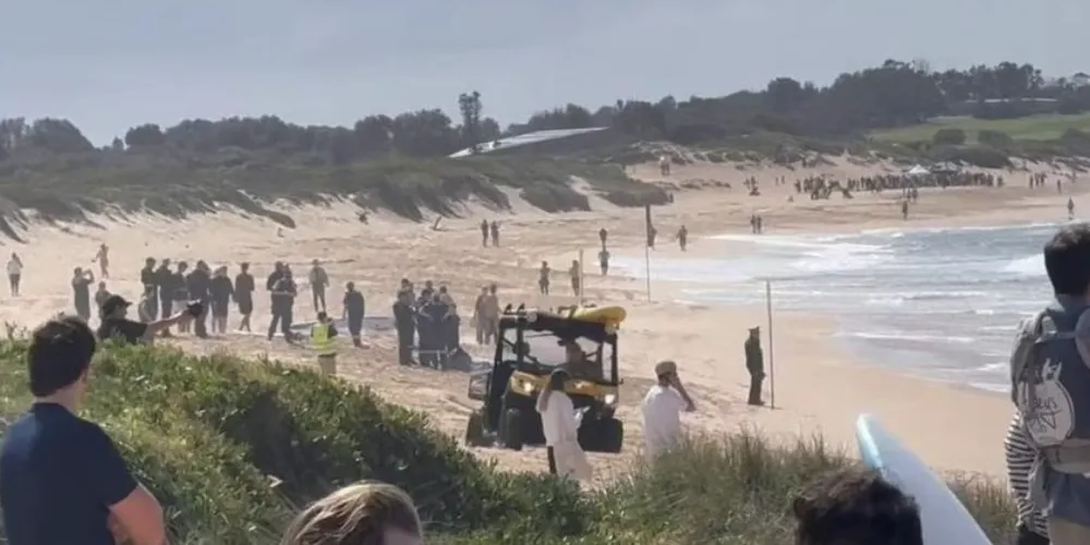 Segundo as autoridades, o tubarão arrancou um pedaço da prancha de surfe