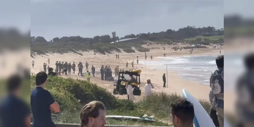 Segundo as autoridades, o tubarão arrancou um pedaço da prancha de surfe