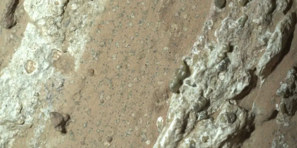 O rover Perseverance da Nasa descobriu “manchas de leopardo” em uma rocha avermelhada apelidada de “Cheyava Falls” na cratera Jezero, em Marte, em julho de 2024