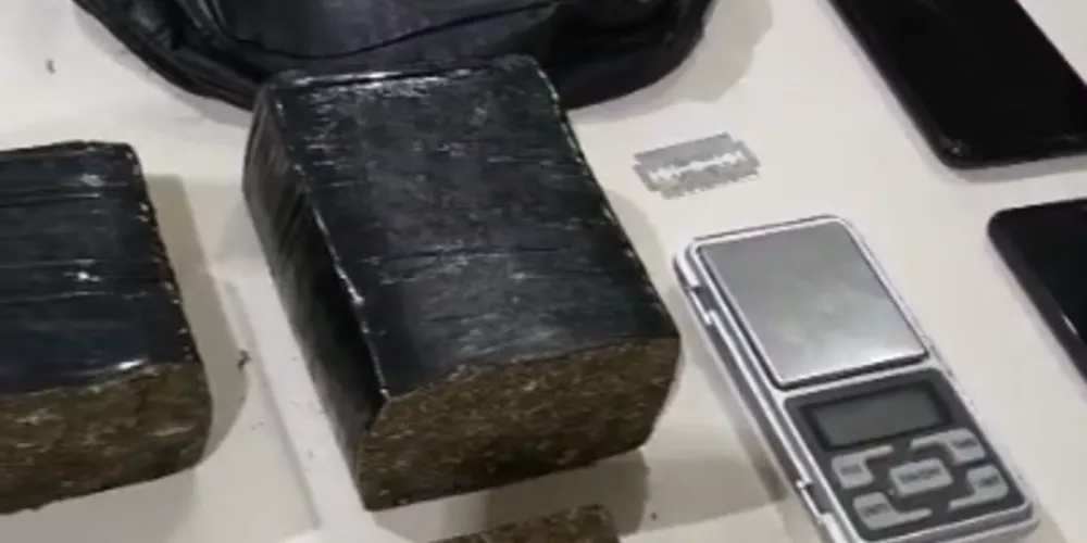 Quase 700 gramas de maconha foram apreendidas