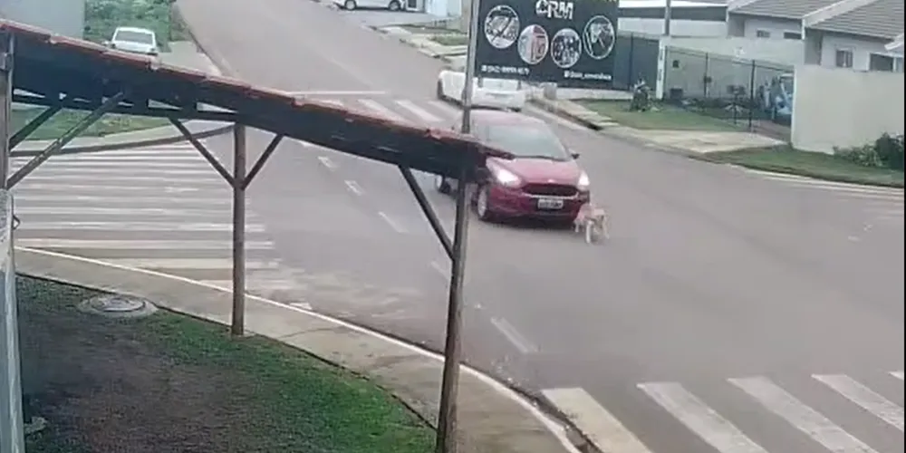 Atropelamento aconteceu na manhã desse sábado