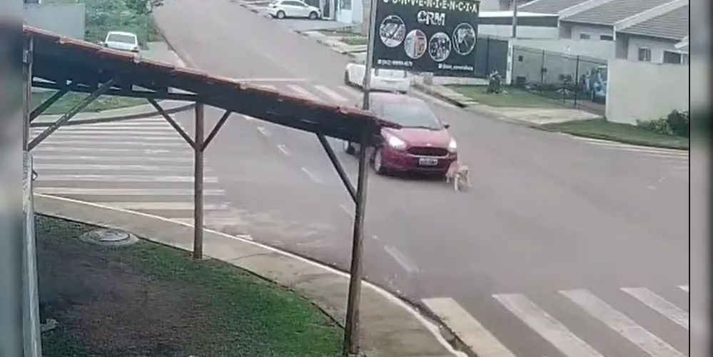 Atropelamento aconteceu na manhã desse sábado