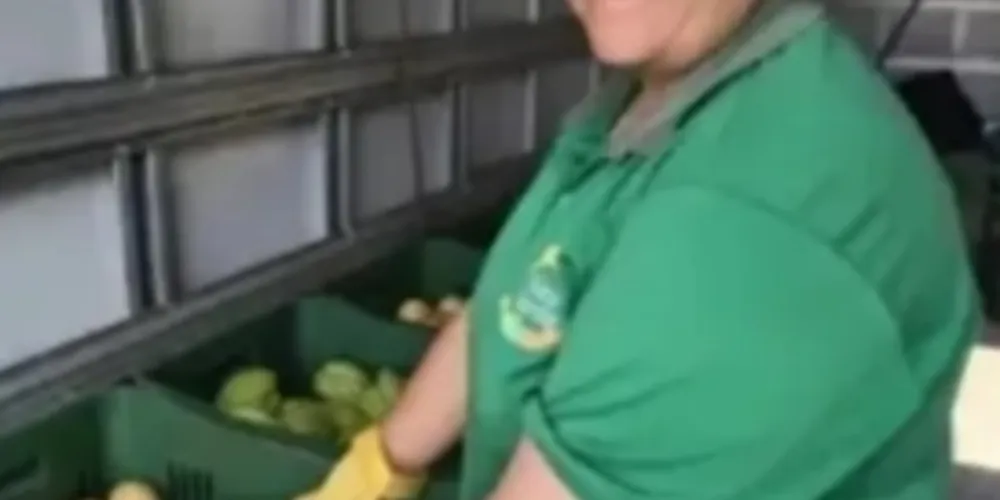 Três equipes vão percorrer os bairros para trocar recicláveis por frutas, verduras e legumes
