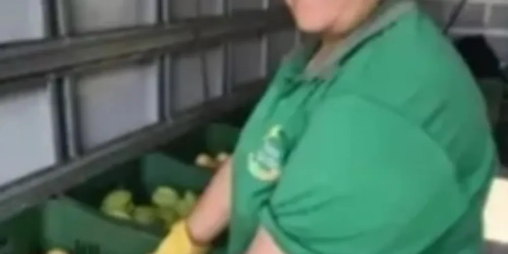 Três equipes vão percorrer os bairros para trocar recicláveis por frutas, verduras e legumes