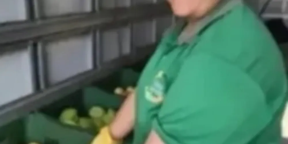 Três equipes vão percorrer os bairros para trocar recicláveis por frutas, verduras e legume