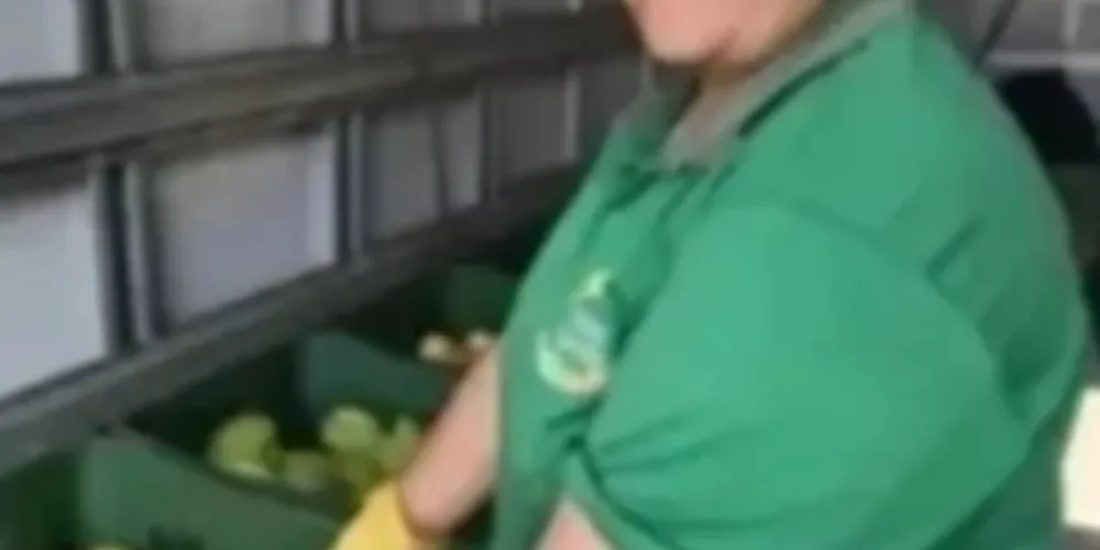 Três equipes vão percorrer os bairros para trocar recicláveis por frutas, verduras e legumes