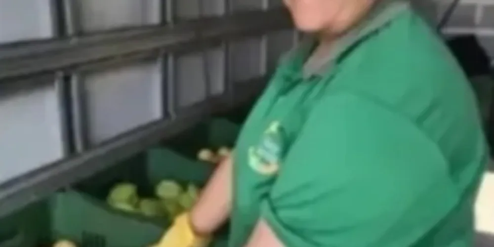 Três equipes vão percorrer os bairros para trocar recicláveis por frutas, verduras e legume