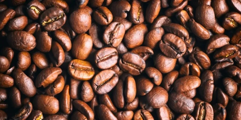 O recuo nos preços do café no mercado nacional é reflexo das chuvas mais volumosas