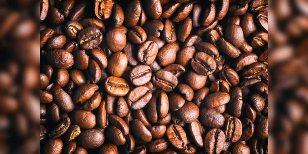 O recuo nos preços do café no mercado nacional é reflexo das chuvas mais volumosas