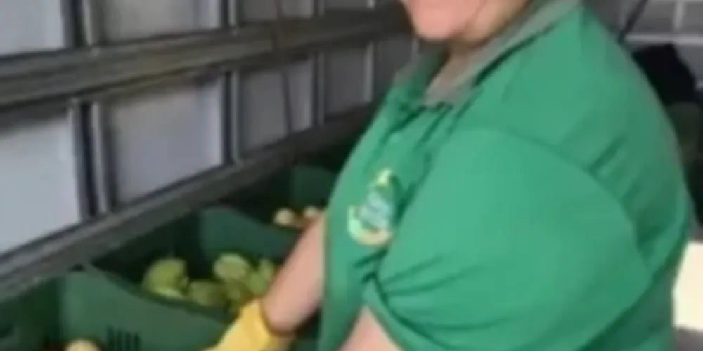 Três equipes vão percorrer os bairros para trocar recicláveis por frutas, verduras e legumes