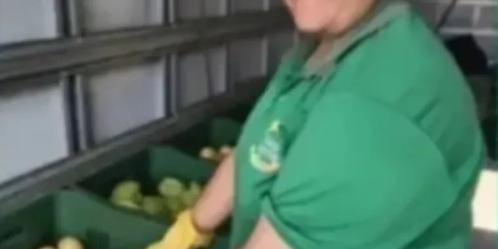 Três equipes vão percorrer os bairros para trocar recicláveis por frutas, verduras e legumes