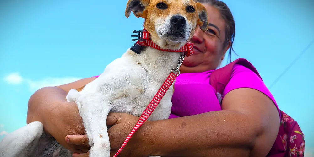 Tutor precisa realizar uma inscrição prévia dos seus animais domésticos