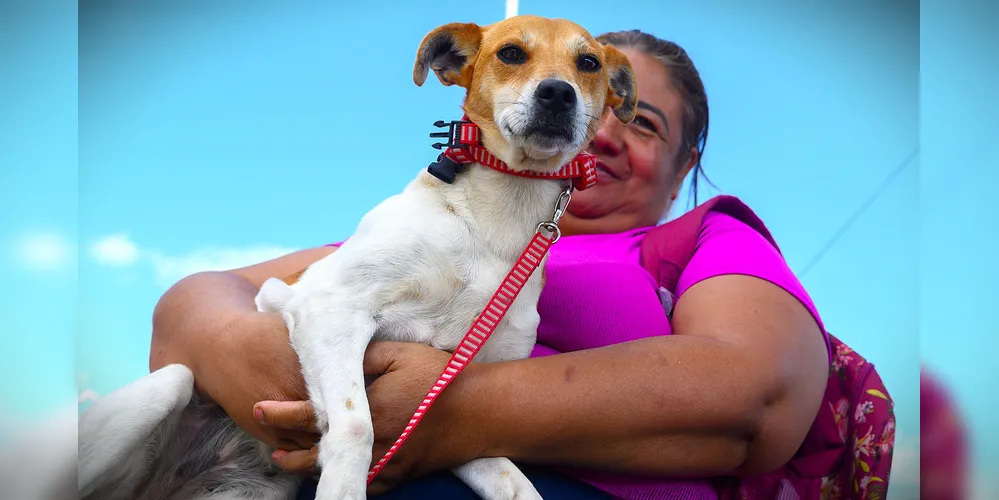 Tutor precisa realizar uma inscrição prévia dos seus animais domésticos