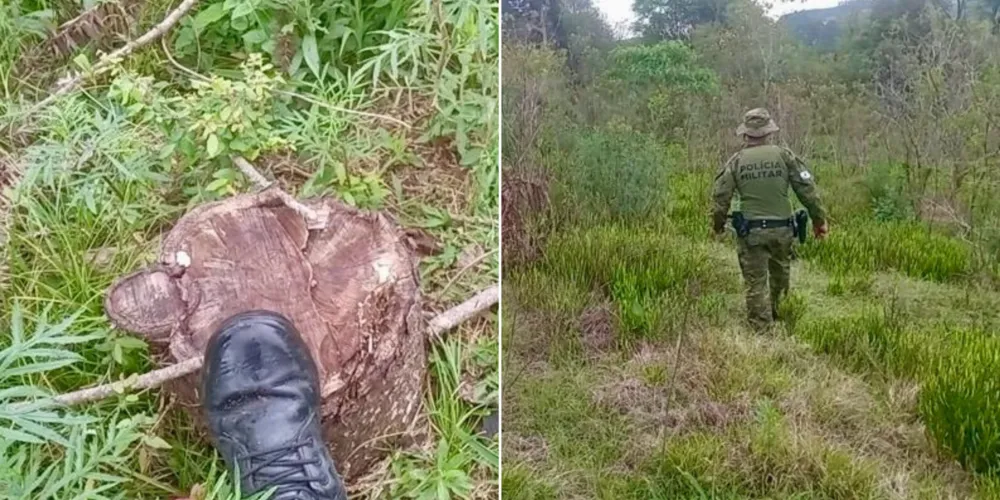 Polícia Ambiental em campo para averiguar a situação de ilegalidade em Irati