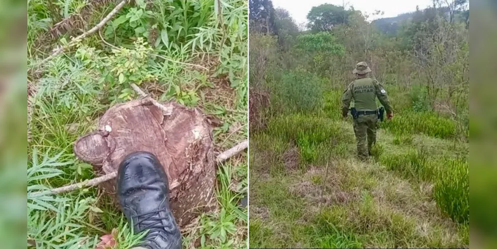 Polícia Ambiental em campo para averiguar a situação de ilegalidade em Irati