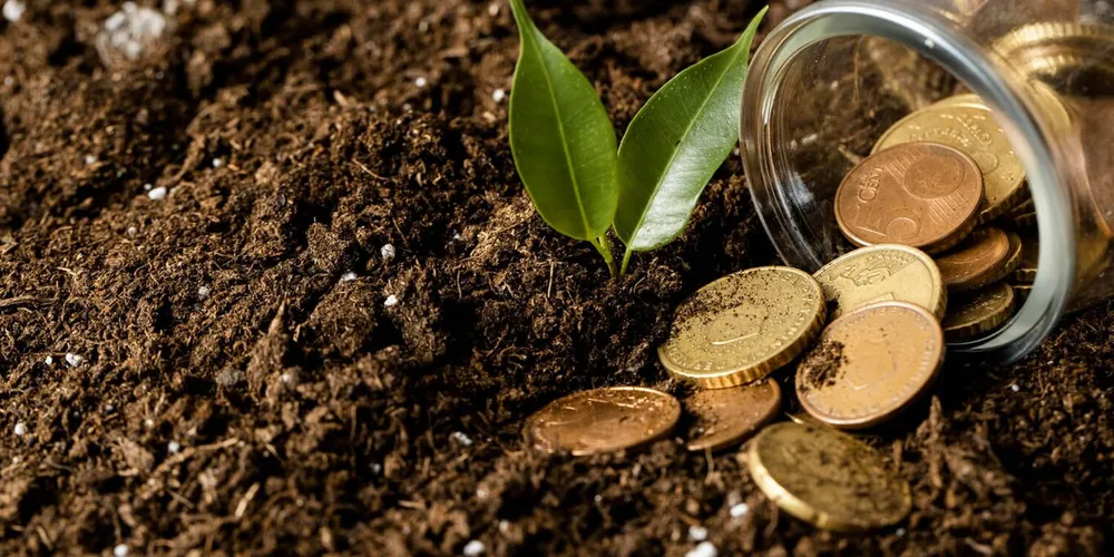 Levantamento da Farsul aponta que cenário atual é distinto, visto que maior parte do crédito rural não é público