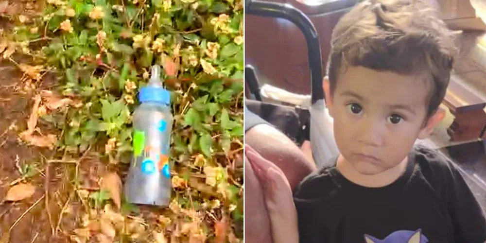 Mamadeira, que seria de Artur, foi localizada em uma área de mata