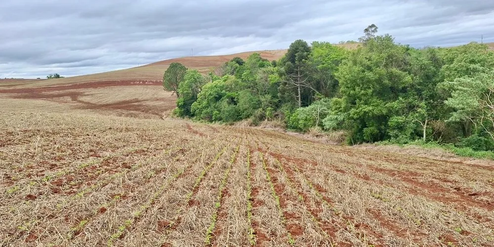 Propriedade fiscalizada